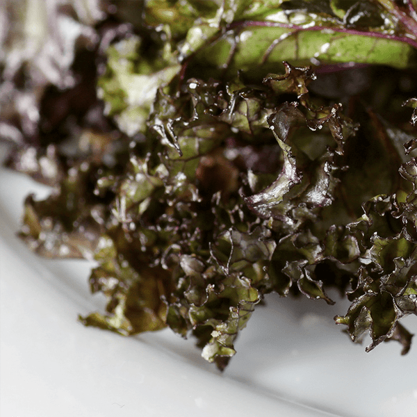 Meal Prep Sundays: Kale Chips