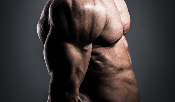 The Basics Of Eating To Gain Muscle